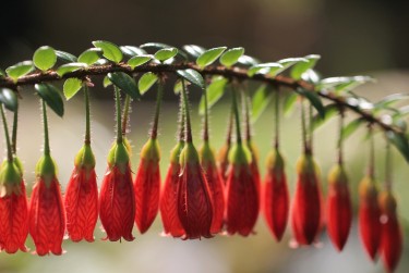 广州私人快速借钱网，轻松解决资金难题