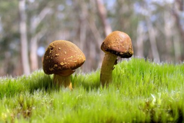 广州私人老板放款：轻松融资的秘密通道